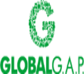 Global Gap Certificate
